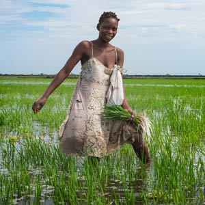 Standard Bank focuses on agriculture to boost job creation and investment in Mozambique